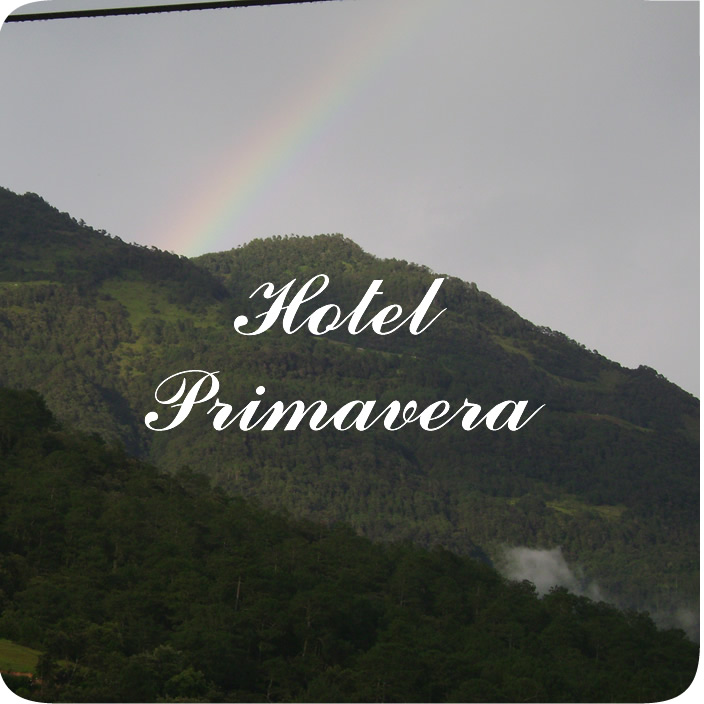 Hotel Primavera