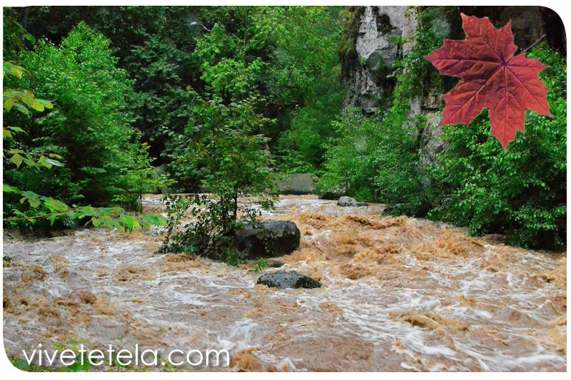 Otoño en Tetela